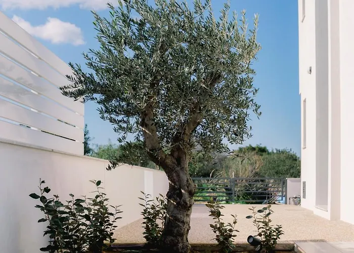 Nesea Seaside Luxury Escape Vila Protaras