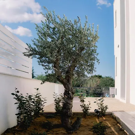Nesea Seaside Luxury Escape Villa Protaras